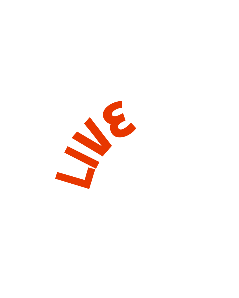 study digital marketing with live projects